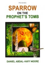 Sparrow On The Prophet's صلی اللہ علیہ وسلم Tomb