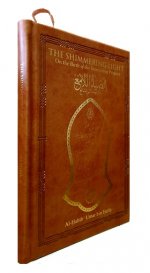 The Shimmering Light On the Birth of the Interceding Prophet HB