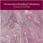 The Seventeen Benefits of Tribulation CD - Hamza Yusuf